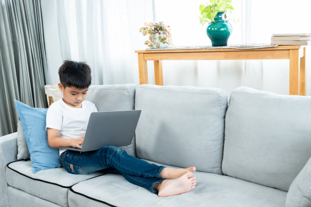 一个亚洲男孩坐在家里客厅的沙发上玩着笔记本电脑，他在网上学习，在网上搜索老师教的以外的信息，看起来很坚定。图片下载