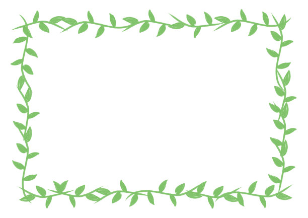 植物叶框架背景自然图片下载