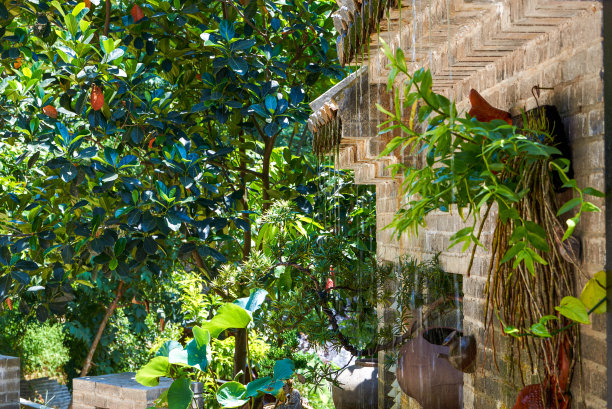 公园内砖墙景观和各种绿植盆景图片下载