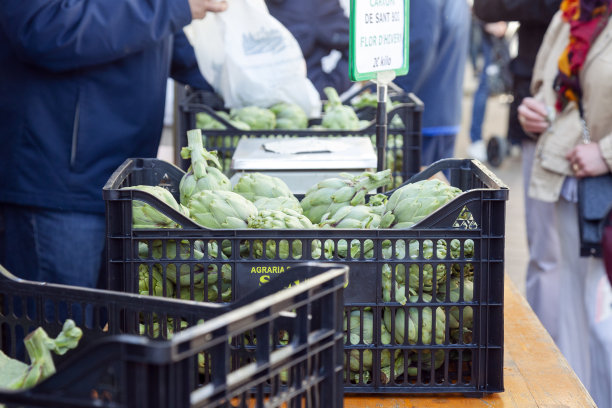 街市上的洋蓟图片下载