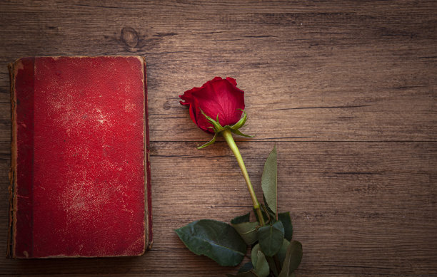 罗莎和布克图片下载