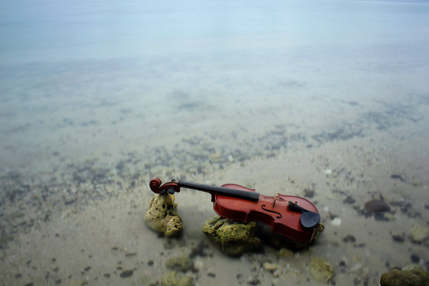 小提琴图片下载