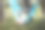 戴着虚拟现实眼镜在吊床上玩游戏的中年妇女在户外放松。副本的空间。图片下载