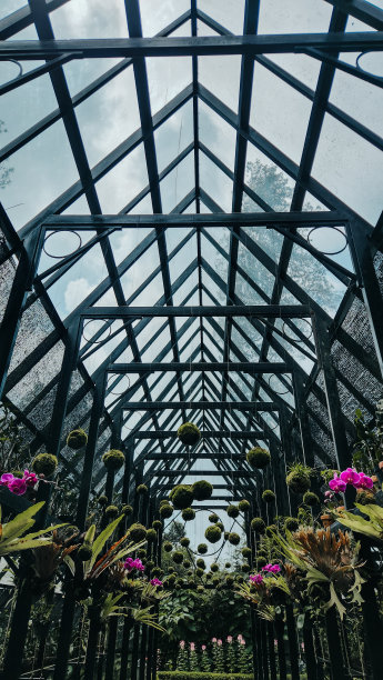 室内花园，玻璃屋顶图片下载