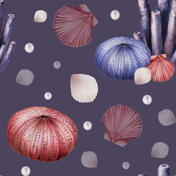 水彩无缝图案与珊瑚，海胆，贝壳和珍珠。手绘剪纸水下生活对象在一个白色孤立的背景。适合设计师，装饰，明信片，包装纸，剪贴簿，封面，请柬，婚礼设计，pos图片下载