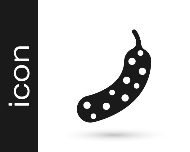 黑色新鲜黄瓜图标孤立的白色背景。向量图片下载