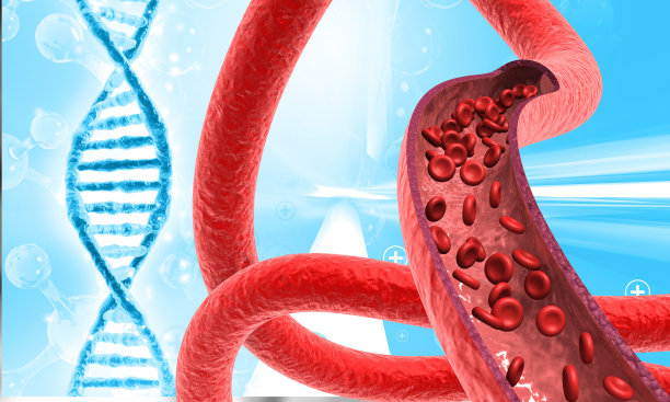 人体血管的科学背景图片下载