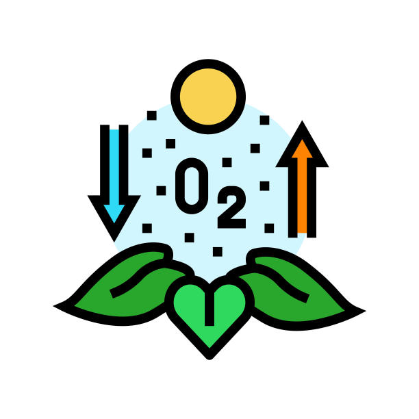 光合作用生物化学彩色图标矢量插图图片下载