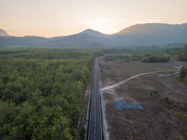 道路鸟瞰图。橡胶种植园道路的俯视图。日落时街道的俯视图。图片下载