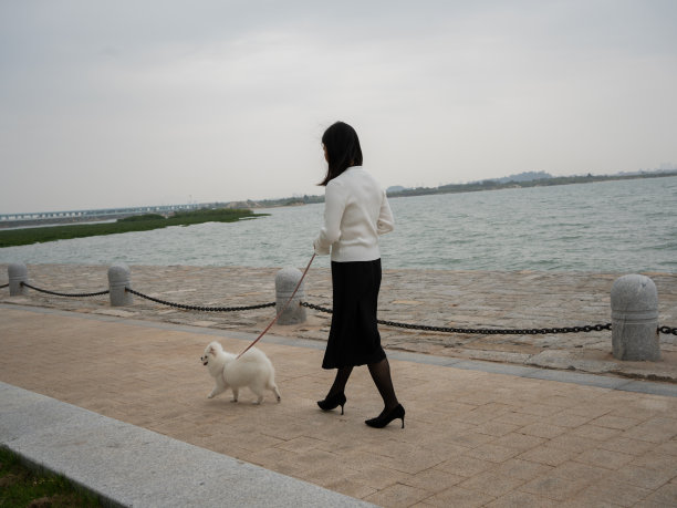 一个女人带着她的狗在海边散步图片下载