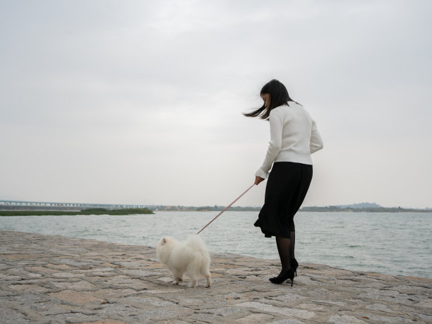 一名妇女在海边与宠物狗玩耍图片下载