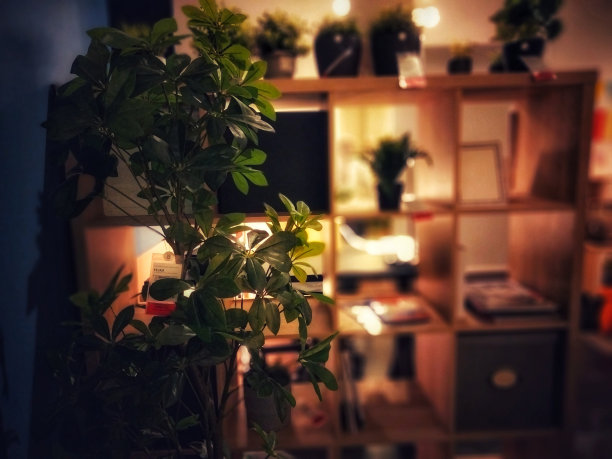 绿叶与现代书架背景图片下载