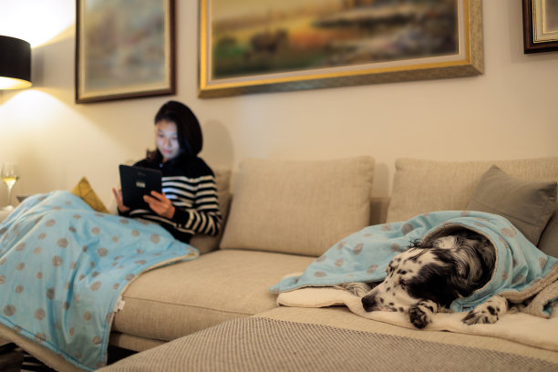 女孩在沙发上看平板电脑，狗在睡觉图片下载