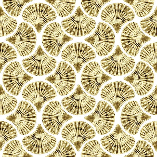 装饰艺术风格抽象海贝几何形状无缝图案图片下载