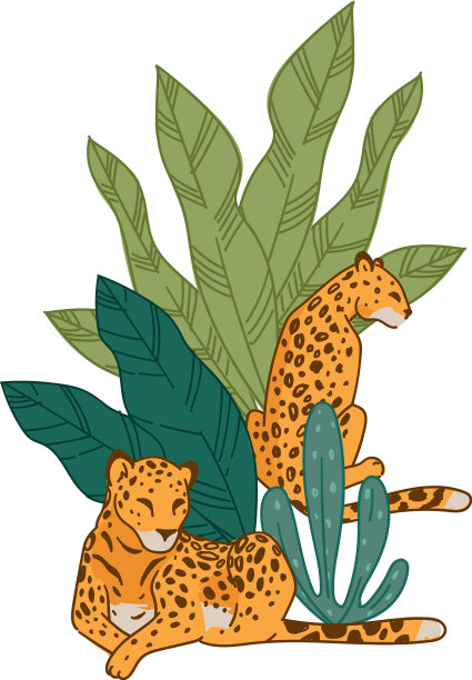 豹类动物在自然栖息地或动物园公园图片下载