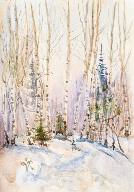 阳光明媚的冬日里的桦树图片下载