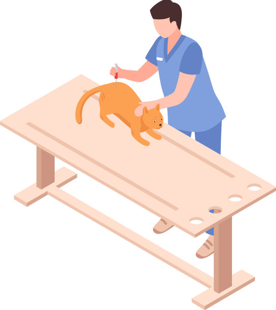 宠物护理图标图片下载