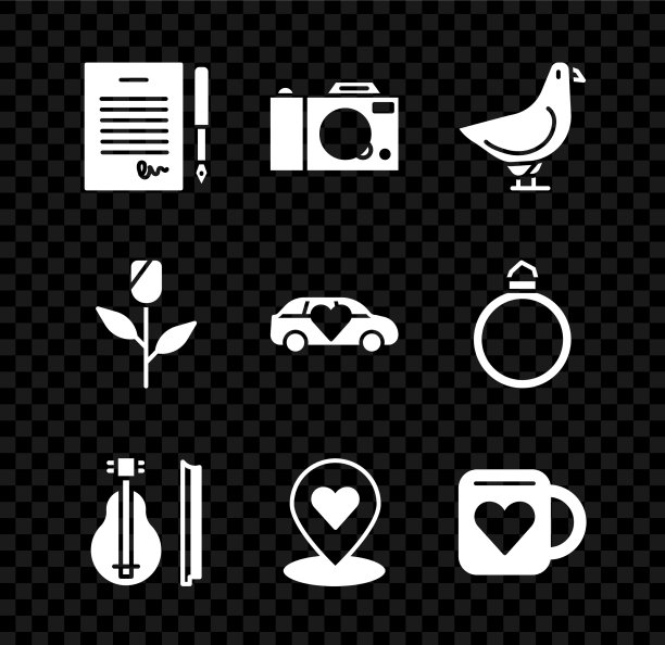 订婚约照相机鸽子小提琴图片下载