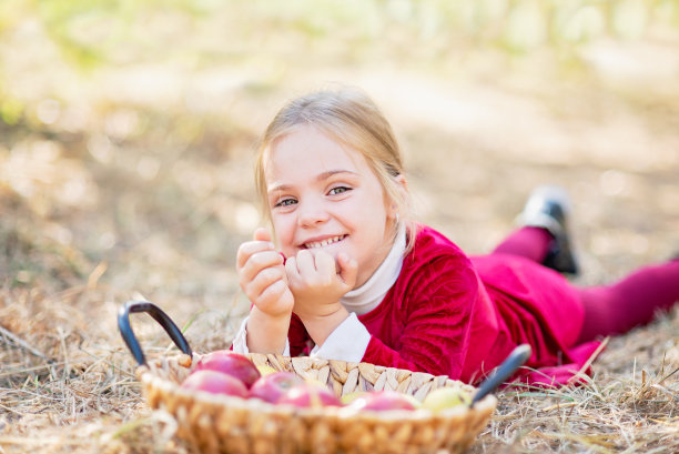 秋天，孩子在农场摘苹果。小女孩在苹果园里玩耍。健康的营养。图片下载