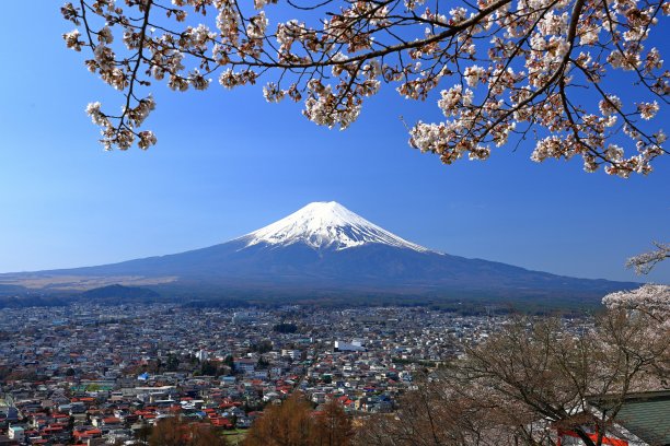 春天樱花盛开的富士山景色图片下载