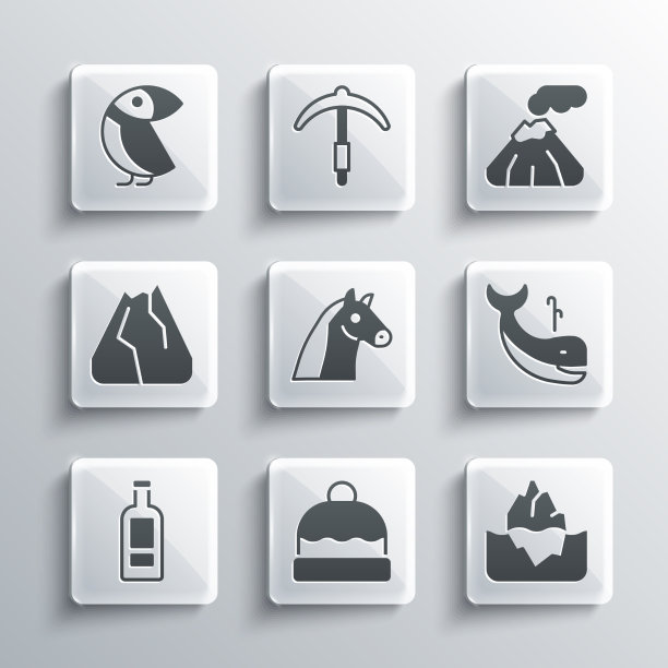 套无边帽冰山鲸马瓶的图片下载