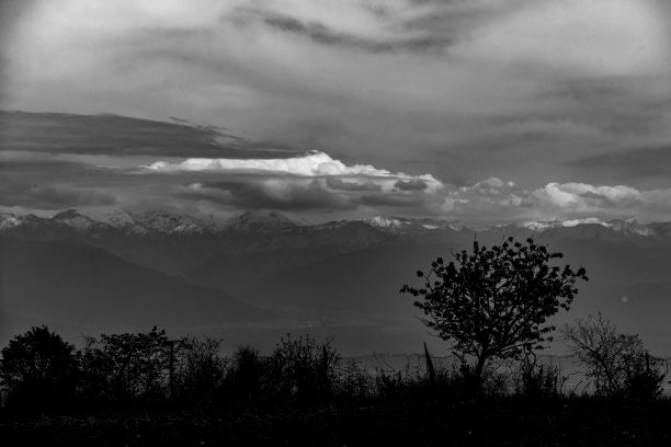 格鲁吉亚卡赫蒂多云天空下的田野，引人注目的灰度照片。图片下载