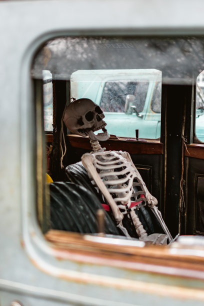 车里的骷髅图片下载