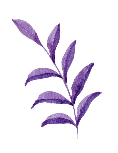 粉红色的叶子水彩画在白色的背景图片下载