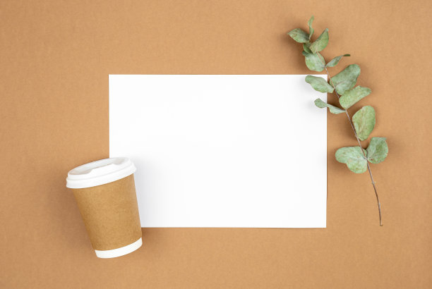 手工纸咖啡杯和桉树小枝放在生态背景上，平铺。图片下载