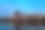 从中央公园俯瞰纽约。在纽约中心的公园里散步。图片下载