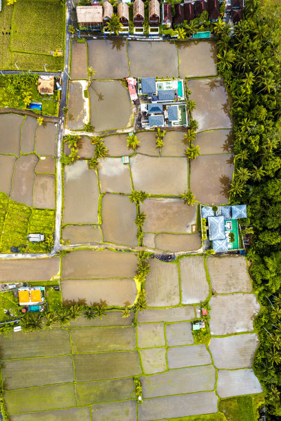 印尼巴厘岛乌布居民区鸟瞰图图片下载