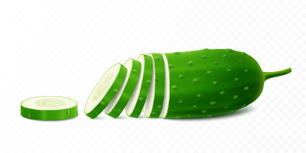 详细的绿色生新鲜黄瓜和切片隔离在白色背景。逼真的三维矢量插图图片下载