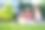 两个女孩坐在公园里，有说有笑图片下载