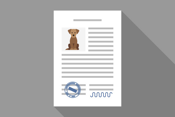 有狗狗照片的文件，领养宠物的概念或出售协议图片下载