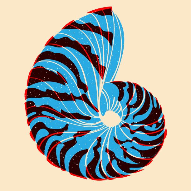 海贝壳。彩色可爱的丝网印刷效果。复古印花效果。矢量插图。用于织物、纺织品、服装、包装纸、墙纸、海报的图形元素。图片下载