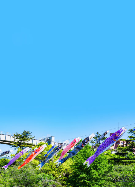 鲤鱼彩带是日本文化图片下载