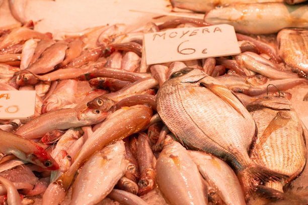 西班牙巴伦西亚中央市场的鱼市场图片下载