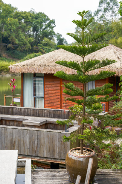 中国古代村落的建筑和房屋墙壁特写图片下载