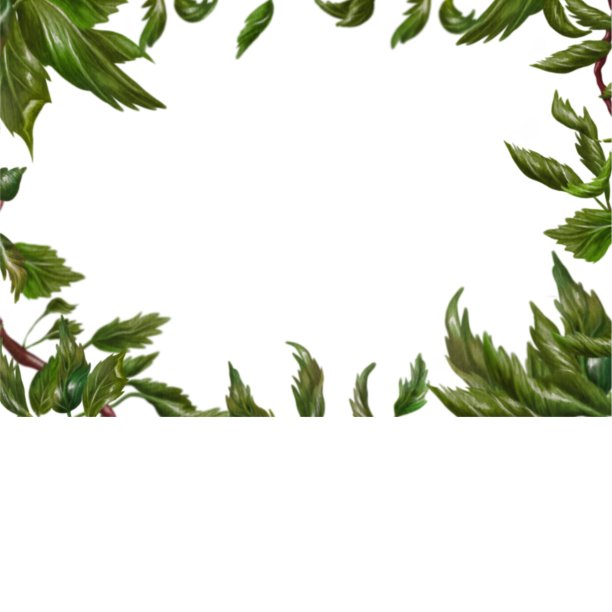 苹果树叶子框架装饰图片下载