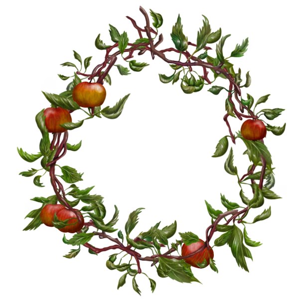 用红苹果和树叶编成花环图片下载
