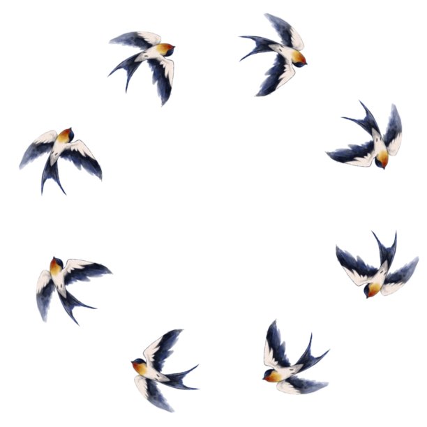 飞燕鸟的花环图片下载