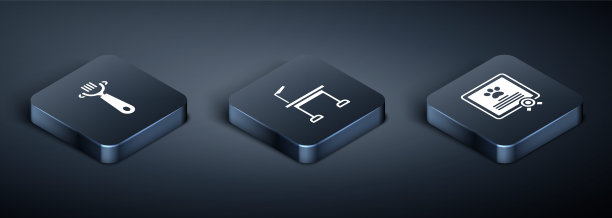 设置等距毛刷狗和猫，证书和宠物美容表图标。向量图片下载