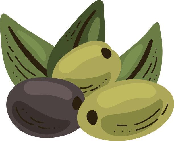 新鲜有机橄榄浆果图片下载