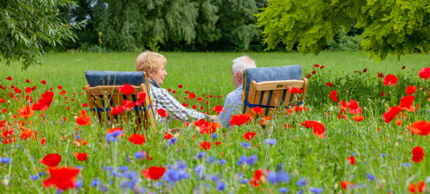 老年夫妇坐在盛开的草地上的后景图片下载
