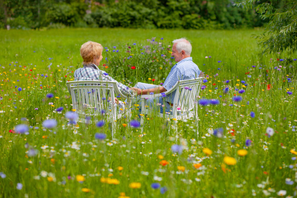 老年夫妇坐在盛开的草地上的后景图片下载