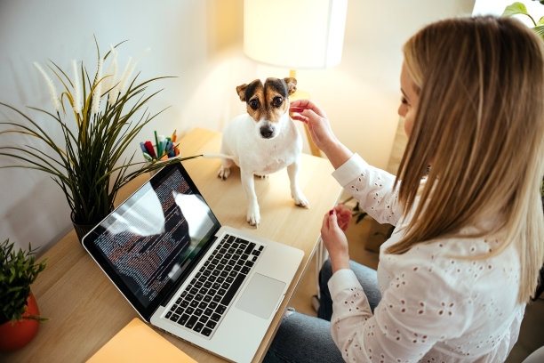 我们形影不离图片下载