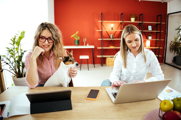 女性朋友一起用笔记本电脑工作图片下载