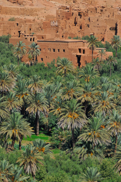 从摩洛哥戴德斯山谷的tenehir镇看风景。图片下载