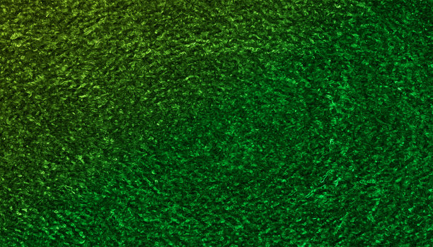 绿色无缝图案背景。图片下载