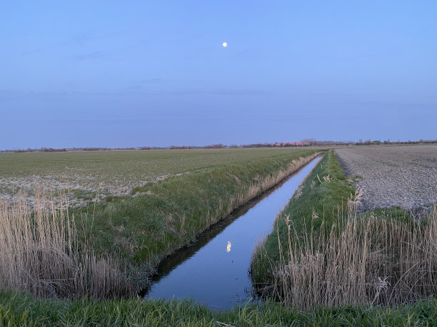 黄昏时分，在田野的边缘图片下载
